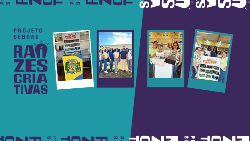 Noticia costa-rica---ms-participa--da-1-feira-regional-de-economia-criativa-em-coxim